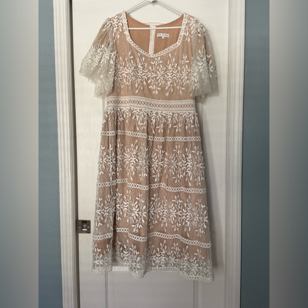 Ivy City Co Venice Lace Overlay Dress
